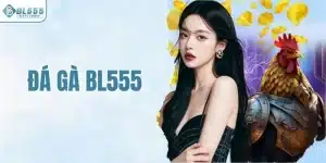 Đá gà BL555