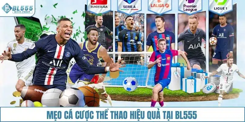 Mẹo cá cược thể thao hiệu quả tại BL555